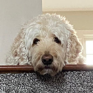 Meet your Posher, Meaghan